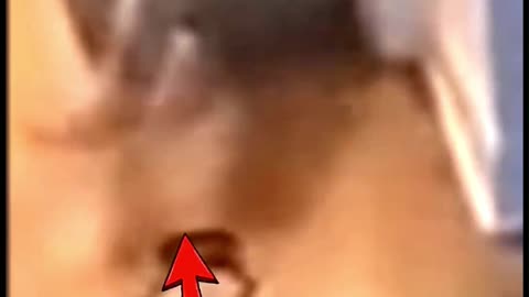 Last night this happened- Poltergeist caught on tape 😱