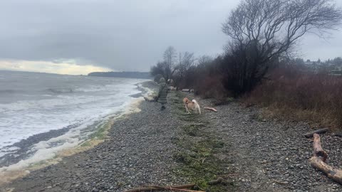 Relaxing on a rainy day