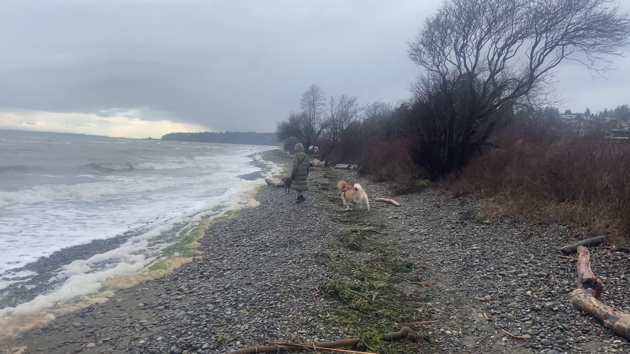 Relaxing on a rainy day