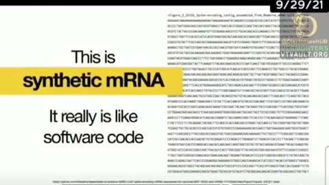What Is In the Covid 19 Vax?