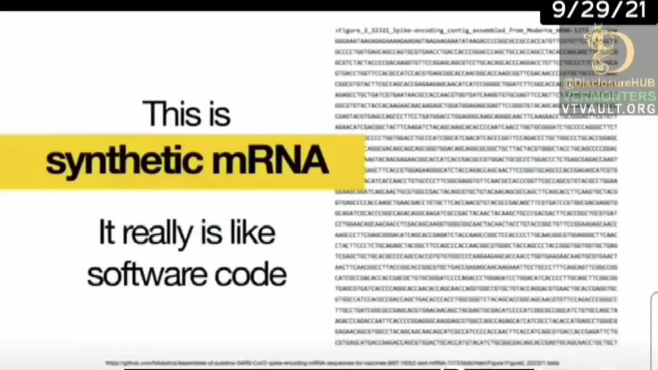 What Is In the Covid 19 Vax?