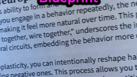 Day 34 – Neuroplasticity & Daily Habits