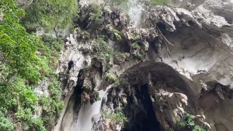 Naturel 4k Video Download Free To Use