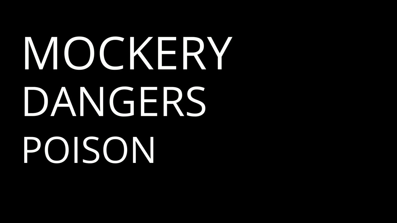 Whispers of Wisdom: Unlocking the Heart's Secrets - Part 4