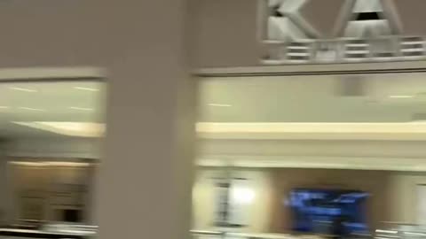 Americans reporting the Mall of America in Minnesota is now completely dead because of ICE raids