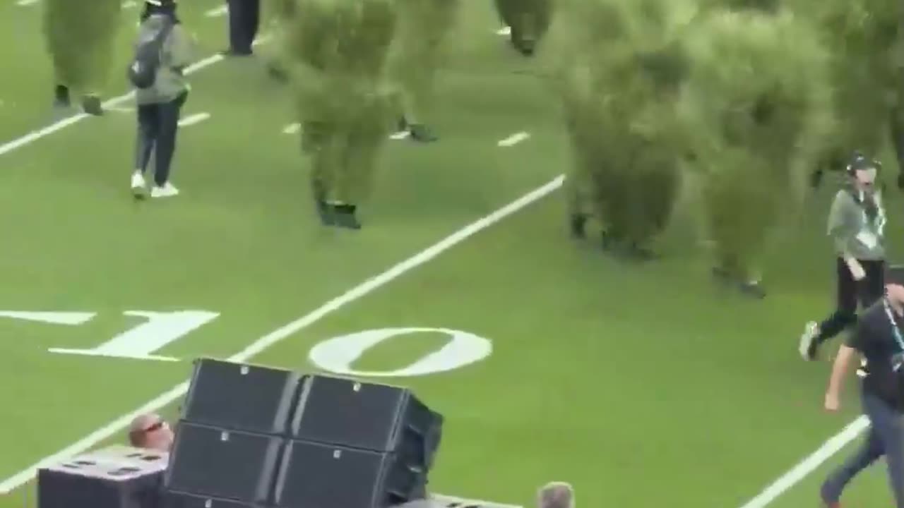 Grass figures storm Super Bowl pitch