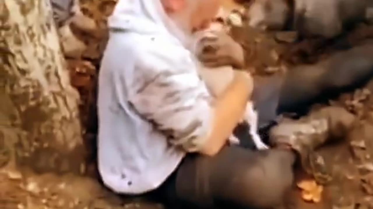 Funny Pets #19