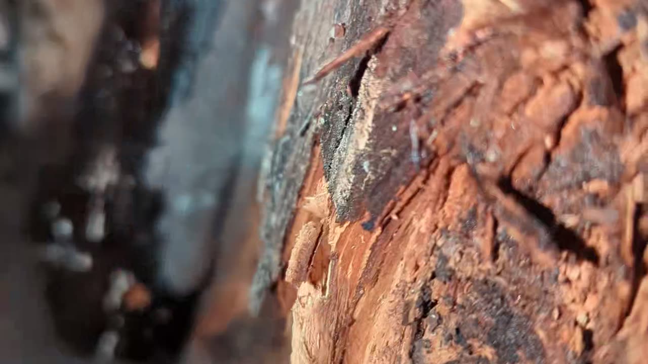 Leak: Inside Water