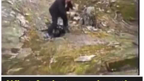 WHAT ANALYSTS SAY ABOUT THE HOMICIDAL 🚪 GAS CHAMBERS IN GERMANY DURING WW2