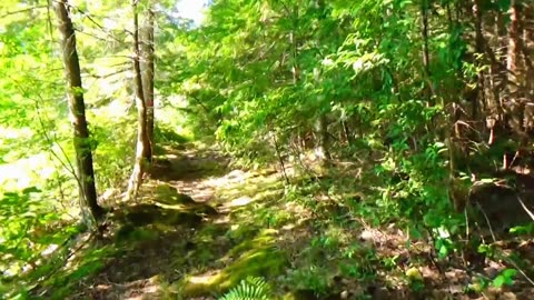Take a Hike