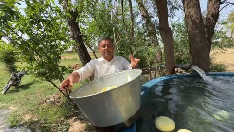 200 KG Melons Juice | Kharbooza Sharbat | Muskmelon JuiceRecipe | Thanda Kharbuja Drink for Summer