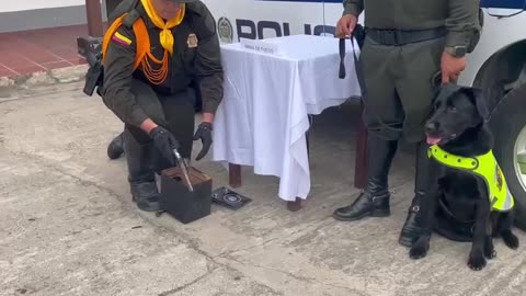 Incautación