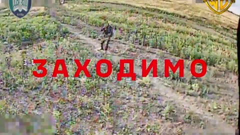 New Footage from Ukrainian Marines