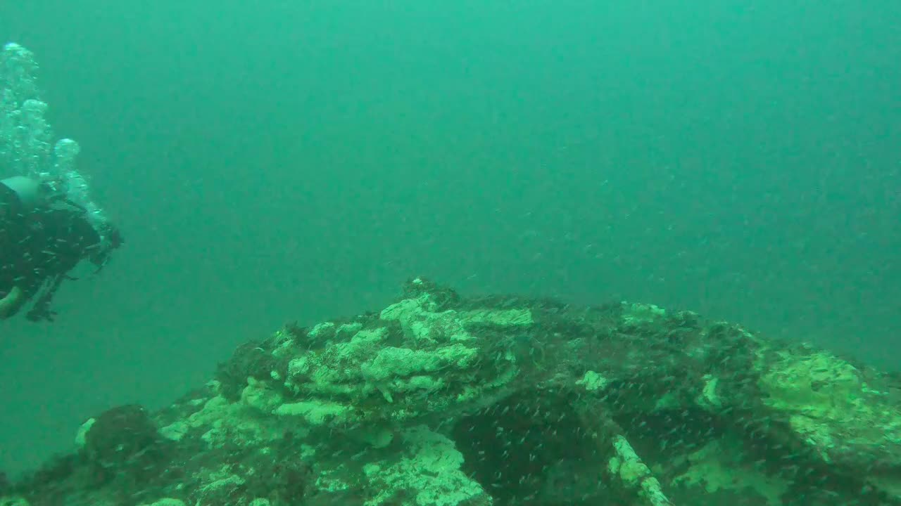 5.21.25 Scuba Diving St Augustine FL - Reggie Tug