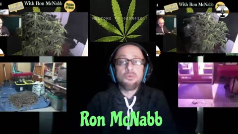 Grow420 Today