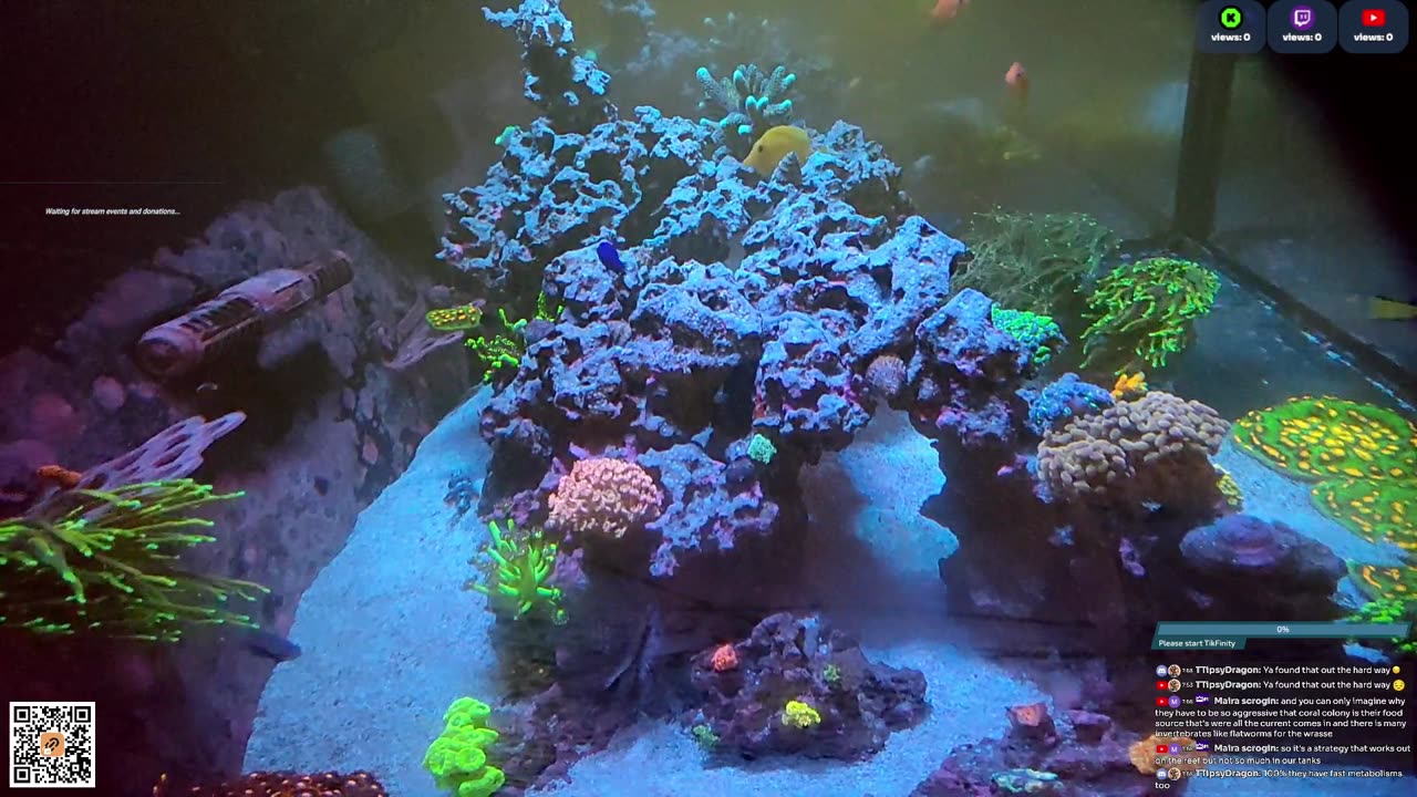 24/7 Real Live Reef Stream
