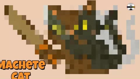 Cannabis & Crime Tonight