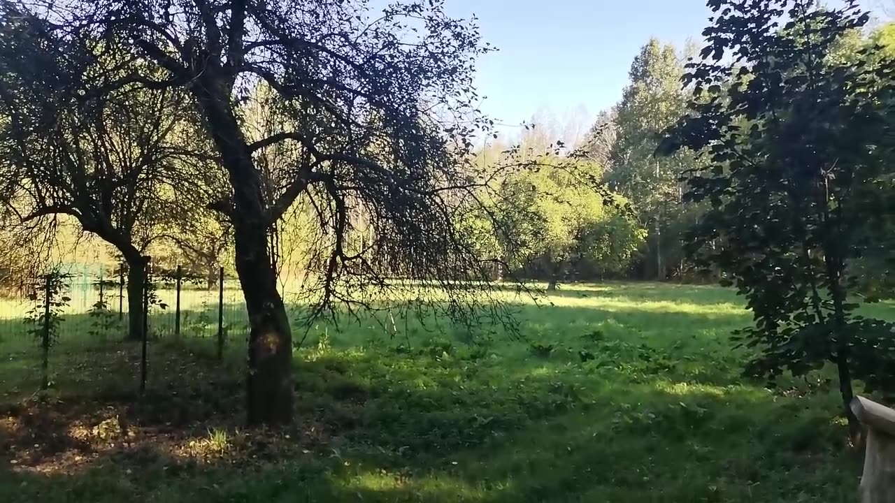 po co mi TO ?