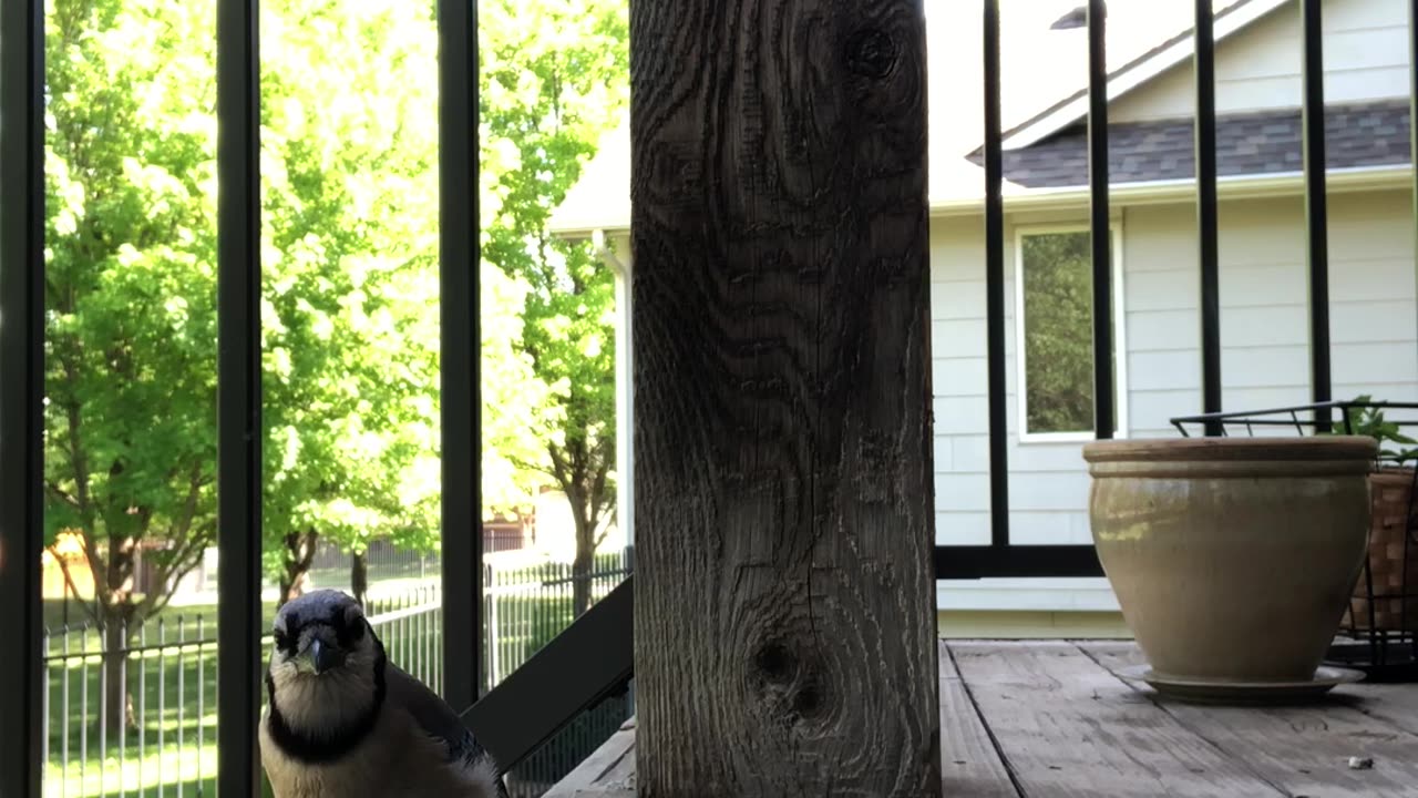 Jay sees himself on camera
