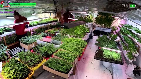 Tribe cant be Stopped FARMSTEAD REMOTE Isolated ALASKAN Village | !Real !Homestead