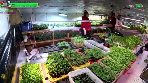 Tribe cant be Stopped FARMSTEAD REMOTE Isolated ALASKAN Village | !Real !Homestead
