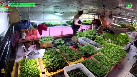 Tribe cant be Stopped FARMSTEAD REMOTE Isolated ALASKAN Village | !Real !Homestead