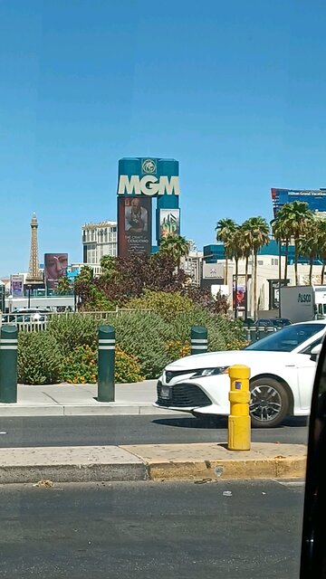 ROBOTAXI TOUR OF VEGAS STRIP (Day)