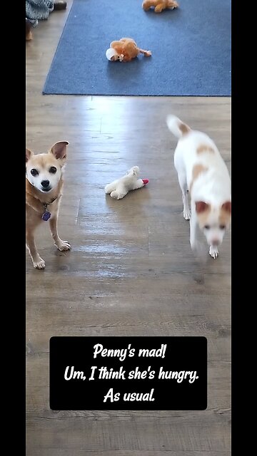 Time Change Trouble!