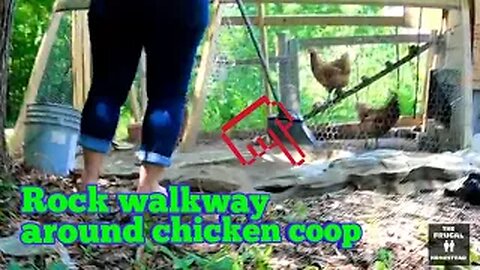 Rock Walkway around Chicken Coop - Homestead vlog