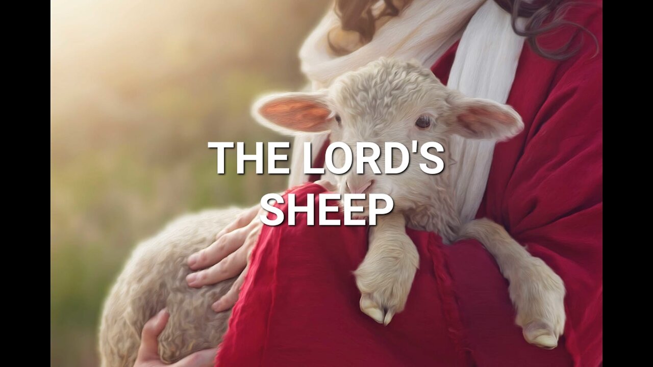 Parables Of Jesus: The Lord's Sheep