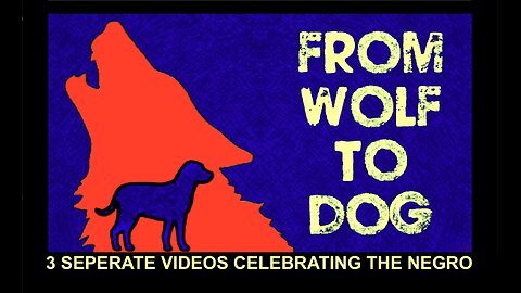 3 VIDEOS CELEBRATING THE NEGRO, READ DESCRIPTION.