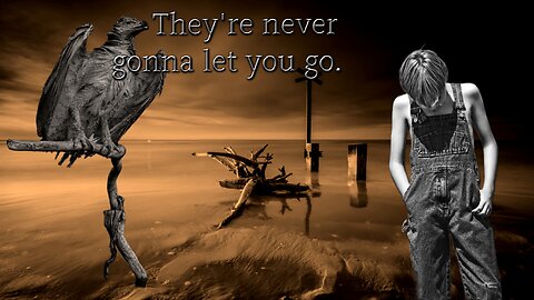 They're Never Gonna Let You Go