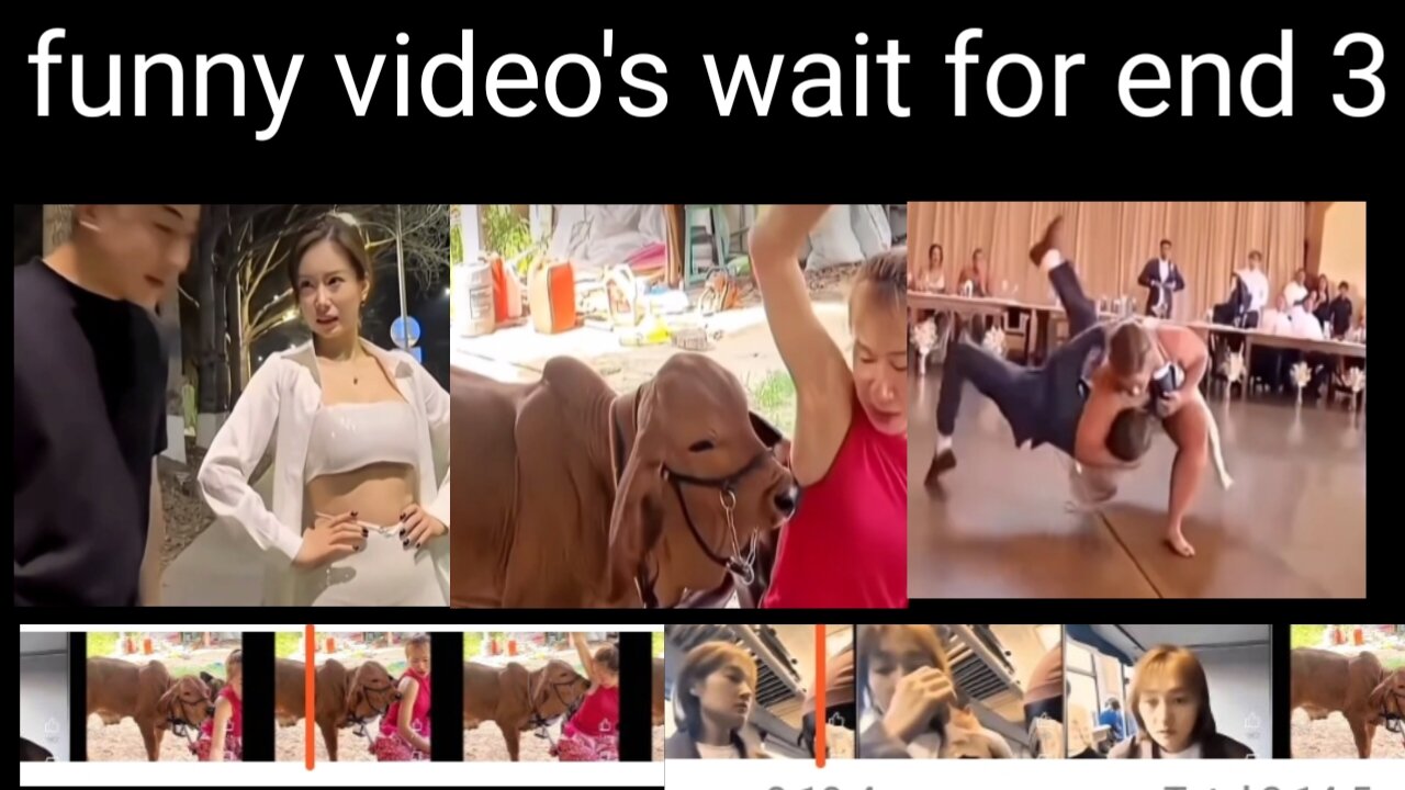 funny video's wait for end 3