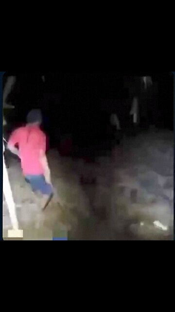 Shadow Being Or Creature From Another Realm?