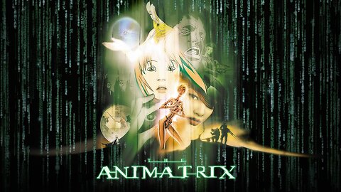 The Animatrix