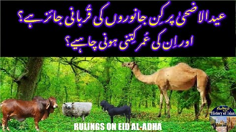 Rulings on Eid al-Adha sacrifice ईद-उल-अज़हा की कुर्बानी के हुक्म عید الاضحی کی قربانی کے احکام