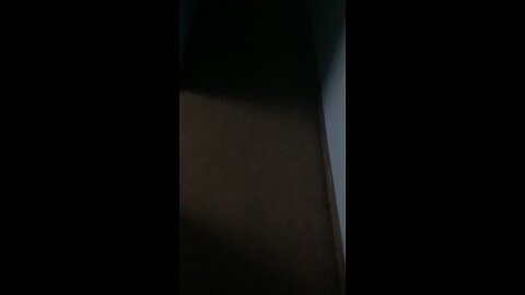 Angry birds theme fail