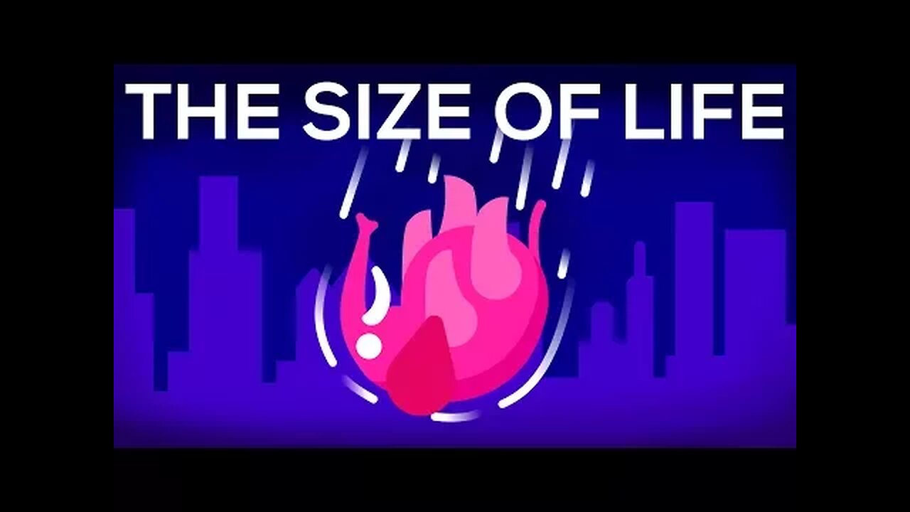 yt1z.net - What Happens If We Throw an Elephant From a Skyscraper Life Size 1