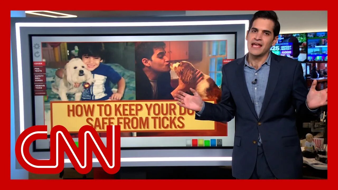 CNN's Harry Enten on how to keep your dog safe from ticks