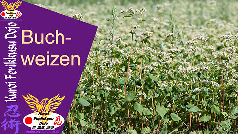 077 - Buchweizen