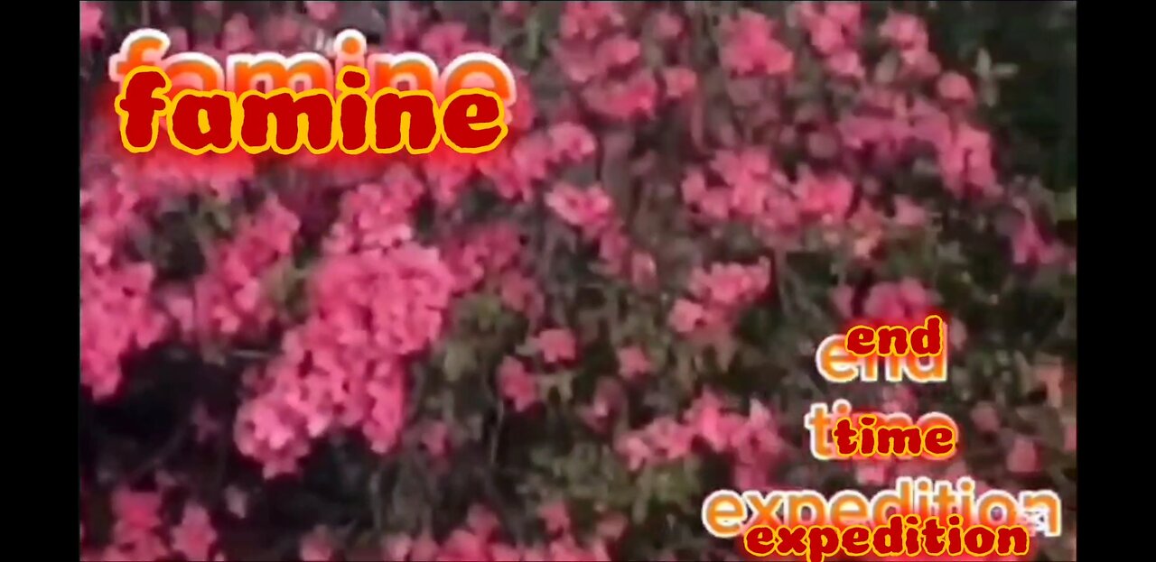 famine - end time expedition #jesus #christian #newmusic