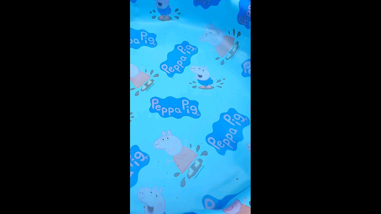 ElitEdge Spectrum Dagger 10A37RBD #shorts #knife #blade #rainbow #canada #fyp #yyj #colors #edc