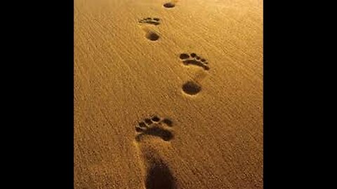 VLOG: The Footprint