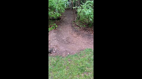 Creating a hidden MTB Park in your Yard!