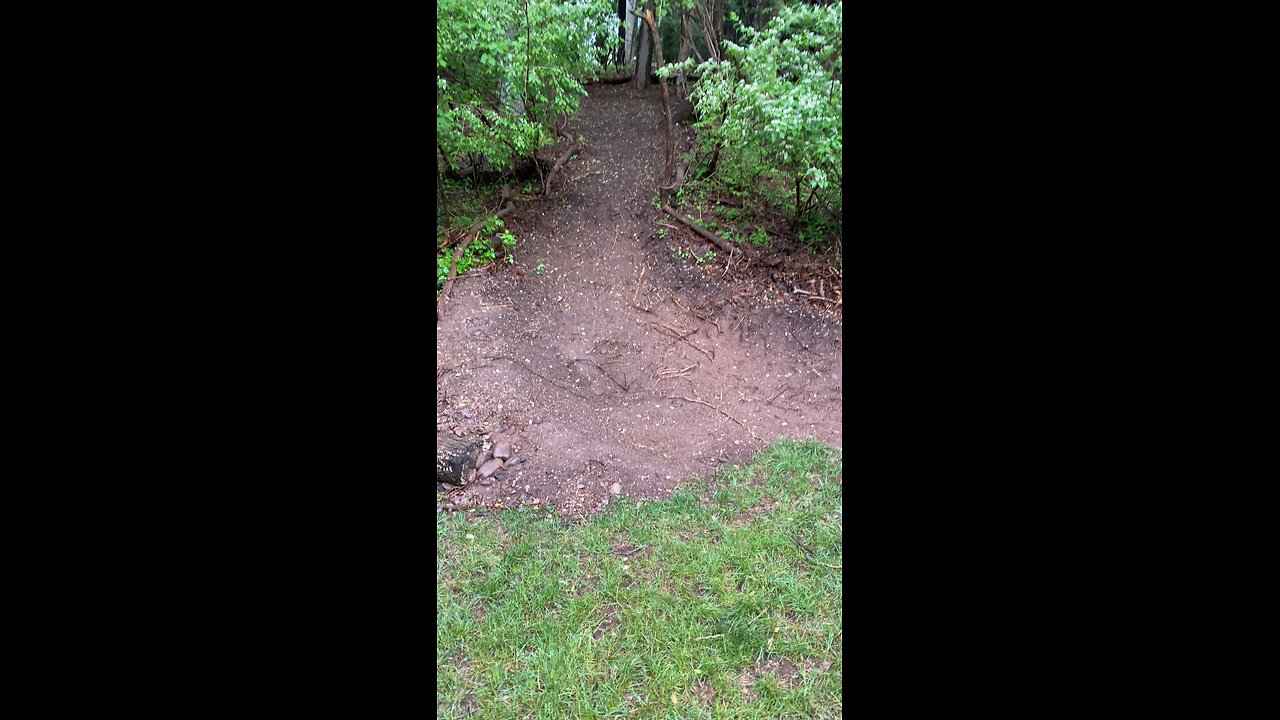 Creating a hidden MTB Park in your Yard!