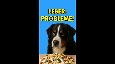 🐶Leberprobleme!