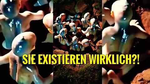 Sie leben wirklich?! Echte Sichtung? Schockierende Clips von kleinwüchsigen Wesen