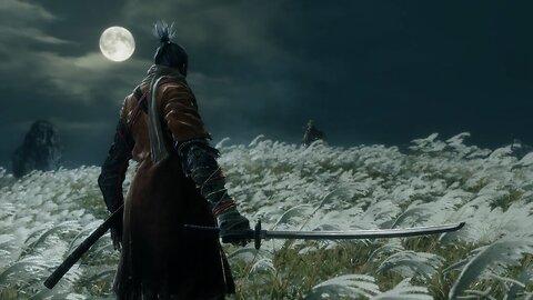 Dodge, Parry, Panic: Sekiro in Real Time