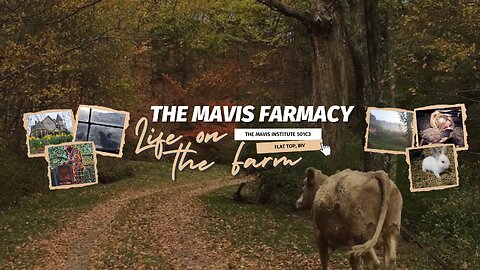 🍂 Appalachian Autumn LIVE – Ducks, Bees, Music & Alan Watts Philosophy (24/7)