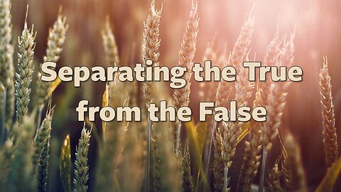 Separating the True from the False | contemporary